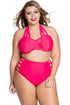 Red Strappy Splice Plus High-waisted Swimwear